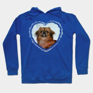 Cute Pekingese dog Hoodie